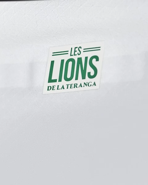 Maillot de Foot Coupe du monde 2022 Sénégal Tenue Domicile